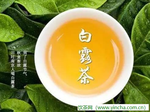 飲茶網(wǎng)