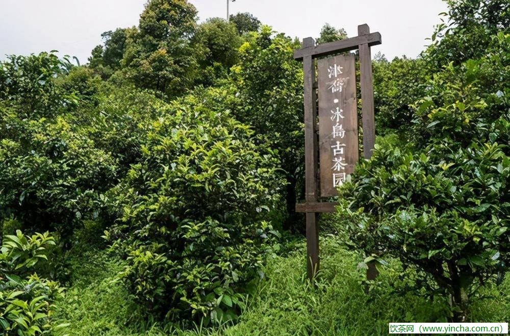 飲茶網(wǎng)