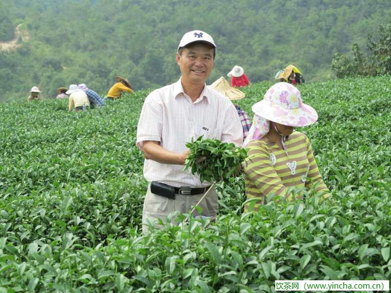 飲茶網(wǎng)