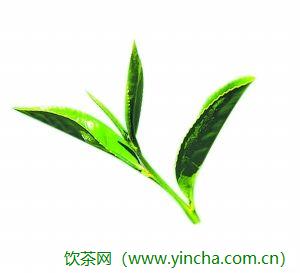 飲茶網(wǎng)