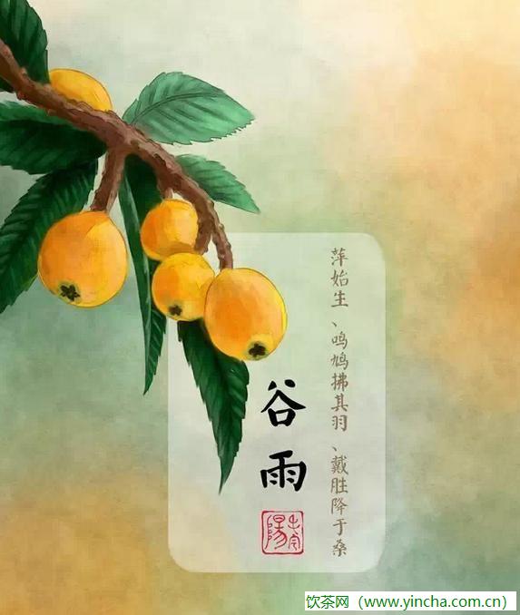 飲茶網(wǎng)