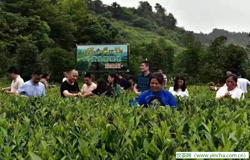 飲茶網(wǎng)