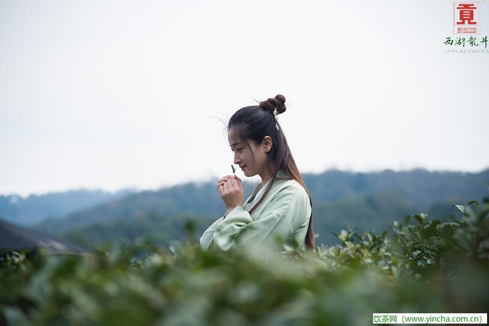 飲茶網(wǎng)