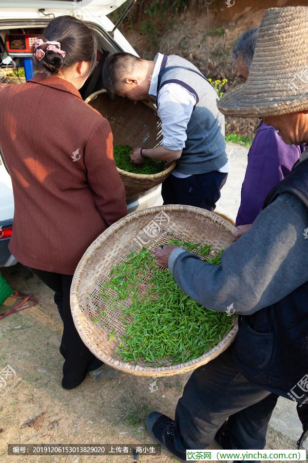 飲茶