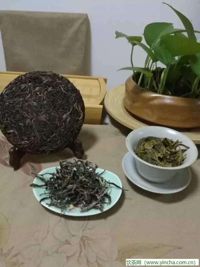 飲茶網(wǎng)