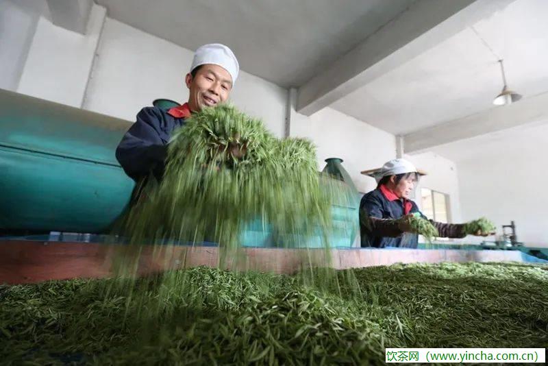 飲茶網(wǎng)