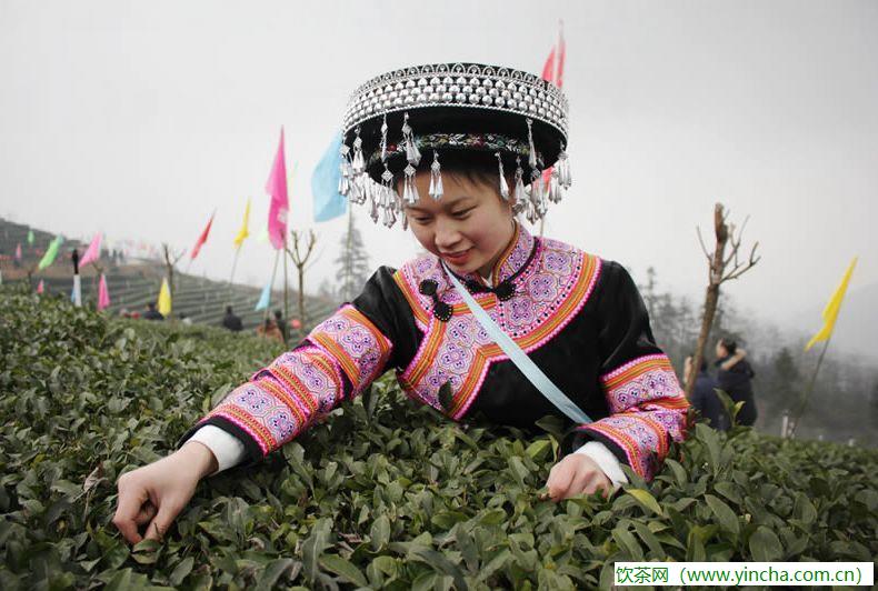 飲茶網(wǎng)