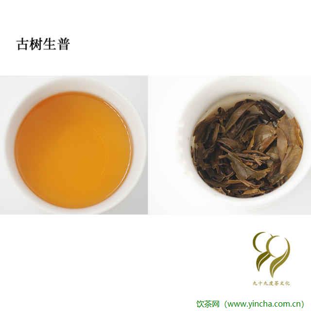 飲茶網(wǎng)