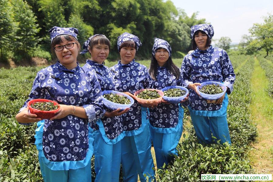 飲茶網(wǎng)