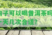 狗子可以喝普洱茶嗎？一天幾次合適？