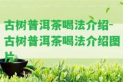 古樹普洱茶喝法介紹-古樹普洱茶喝法介紹圖片