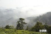 勐海大黑山普洱茶產(chǎn)地及價格表