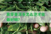 紫芽普洱茶怎么泡才能最好喝？