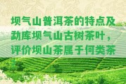 壩氣山普洱茶的特點(diǎn)及勐庫(kù)壩氣山古樹(shù)茶葉，評(píng)價(jià)壩山茶屬于何類茶？