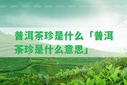 普洱茶珍是什么「普洱茶珍是什么意思」