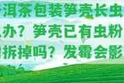 普洱茶包裝筍殼長蟲怎么辦？筍殼已有蟲粉，需拆掉嗎？發(fā)霉會作用茶嗎？