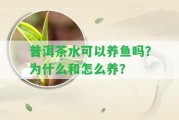 普洱茶水可以養(yǎng)魚嗎？為什么和怎么養(yǎng)？