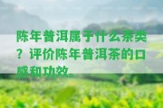 陳年普洱屬于什么茶類？評價陳年普洱茶的口感和功效。