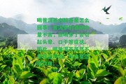 喝普洱茶會醉茶是怎么回事？普洱茶的酒精含量不高，但喝多了會引起頭暈、口干等癥狀。 喝普洱茶雖然不會真正醉酒，但也要適度飲用。