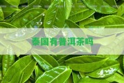 泰國有普洱茶嗎