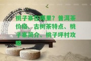 桃子寨在哪里？普洱茶價(jià)格、古樹茶特點(diǎn)、桃子寨簡介、桃子坪村攻略