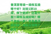 普洱茶等級一級和五級哪個好？比較1到10級，哪個更好？還是只有一級和五級好喝？哪個更好部分？究竟普洱茶等級一級和五級哪個好些？