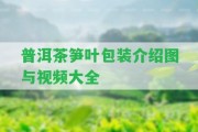 普洱茶筍葉包裝介紹圖與視頻大全