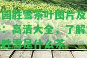 龍園勝雪茶葉圖片及價格：高清大全，熟悉龍園勝雪是什么茶