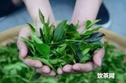 1000克大益菩提緣茶  大益 菩提緣