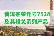 普洱茶榮升號7528及其相關(guān)系列產(chǎn)品