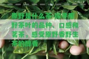 原野是什么茶-探尋原野茶葉的品種、口感和茗茶，感受原野香野生茶的醇香