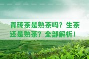 青磚茶是熟茶嗎？生茶還是熟茶？全部解析！