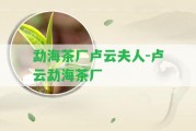 勐海茶廠盧云夫人-盧云勐海茶廠