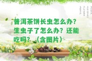 普洱茶餅長(zhǎng)蟲怎么辦？生蟲子了怎么辦？還能吃嗎？（含圖片）