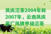 鳳慶沱茶2004年和2007年，云南鳳慶茶廠風牌甲級沱茶