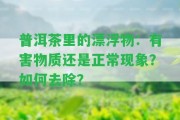 普洱茶里的漂浮物：有害物質(zhì)還是正常現(xiàn)象？怎樣去除？