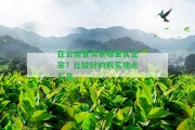 在云南普洱茶哪里買正宗？比較好的購買地點(diǎn)匯總