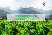 薄荷塘單株價格及走勢分析2021