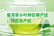 普洱茶小葉種在哪產區(qū)，特點及產區(qū)