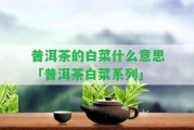 普洱茶的白菜什么意思「普洱茶白菜系列」