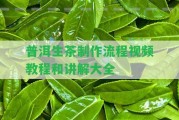 普洱生茶制作流程視頻教程和講解大全