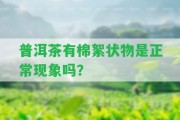 普洱茶有棉絮狀物是正常現(xiàn)象嗎？