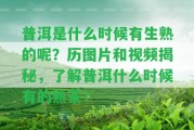 普洱是什么時(shí)候有生熟的呢？歷圖片和視頻揭秘，熟悉普洱什么時(shí)候有的熟茶！