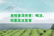 青柑普洱養(yǎng)胃：喝法、效果及留意事