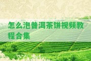 怎么泡普洱茶餅視頻教程合集