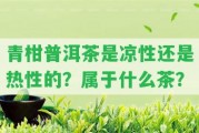 青柑普洱茶是涼性還是熱性的？屬于什么茶？