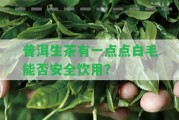 普洱生茶有一點點白毛能否安全飲用？