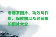 老藤茶圖片、功效與作用、保質(zhì)期以及老藤根的圖片大全