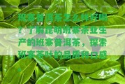 班寨普洱茶怎么樣好喝？熟悉昆明班寨茶業(yè)生產(chǎn)的班寨普洱茶，探索班寨茶葉的品質(zhì)和口感。