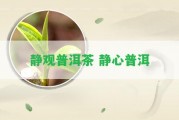 靜觀(guān)普洱茶 靜心普洱